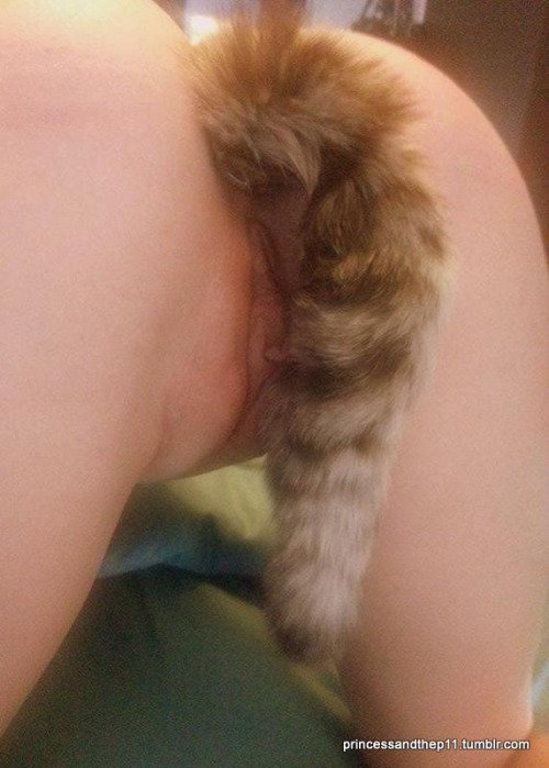 Bicouple4fun's tweet photo. Racoon #tail https://t.co/7HtoknqR4H