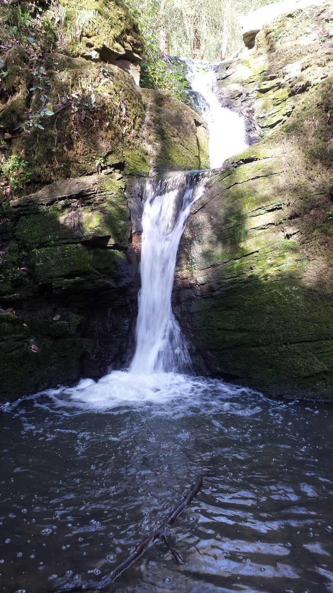 no1blakester's tweet photo. Sunny run on the #limestonelink with a visit to the waterfall in Greyfield wood be rude not to https://t.co/euu41tZYbV