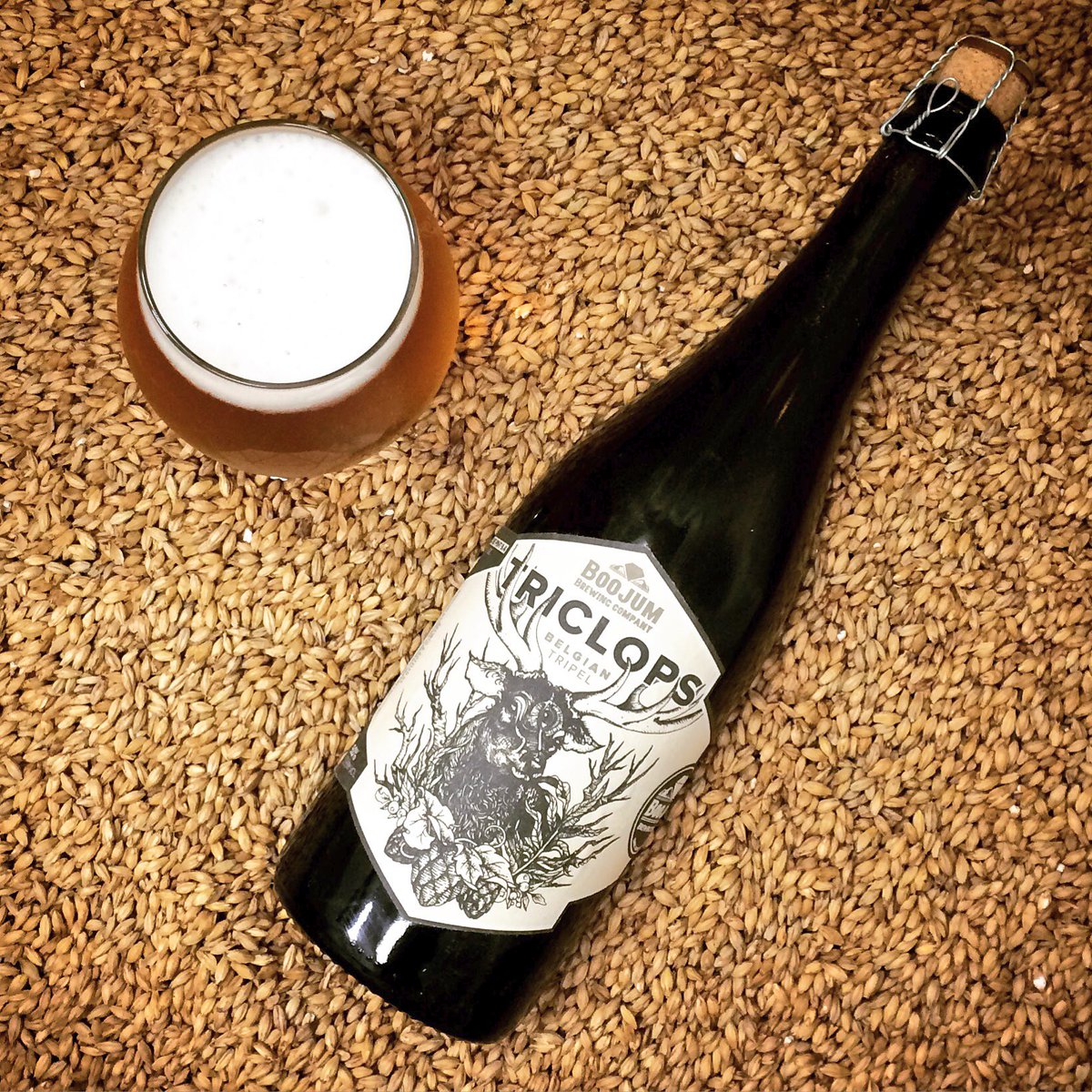 Boojum Brewing Co tweet media