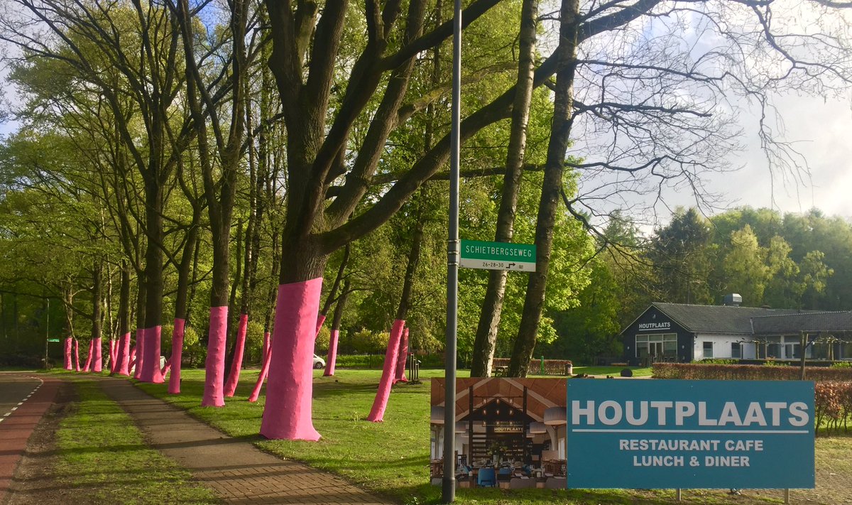 houtplaats's tweet photo. Roze voortuin bij #houtplaats https://t.co/v3RQkM1Lyb