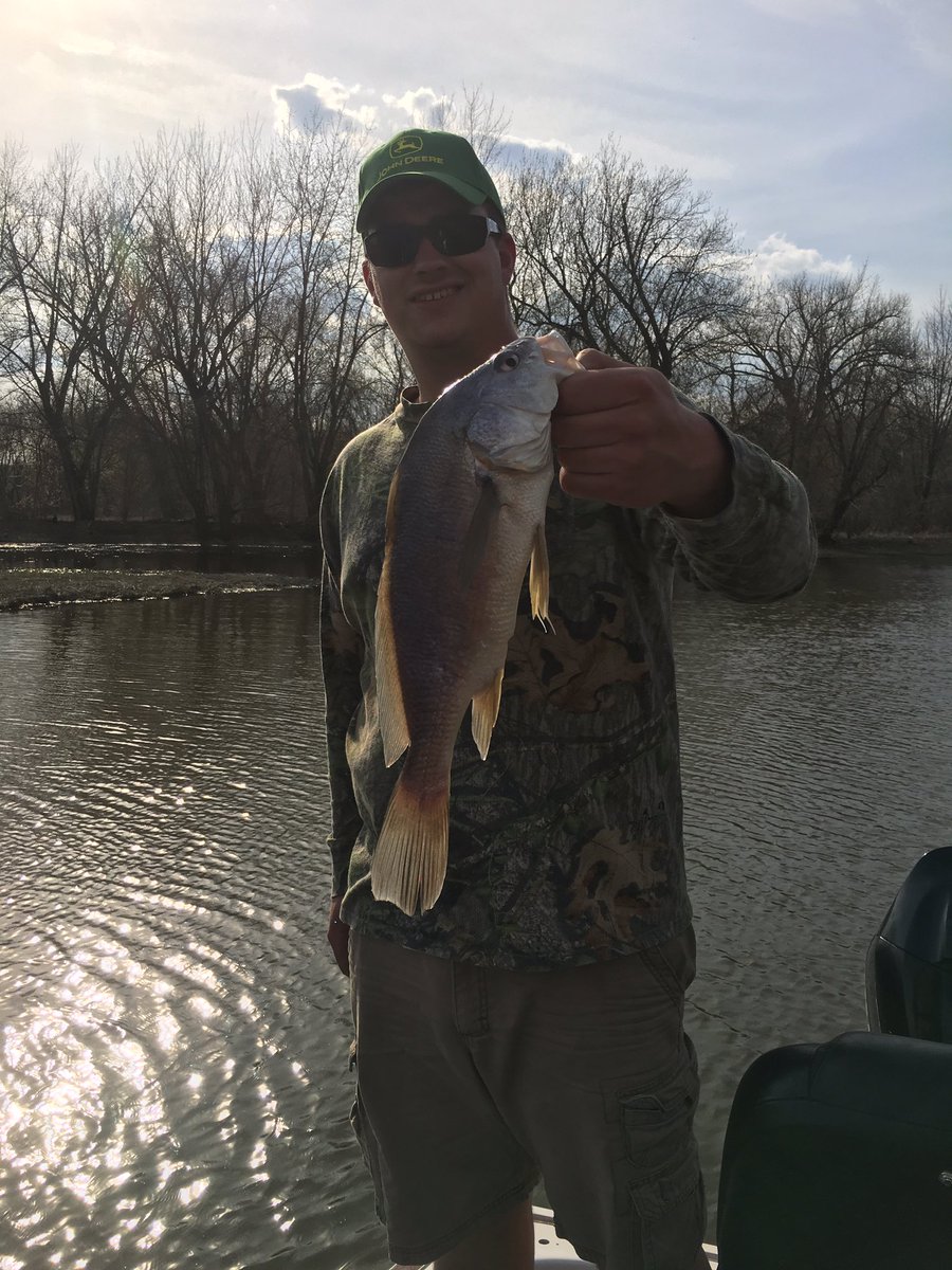 bcoyne890's tweet photo. The only catch from my trip to the Mississippi River a couple weeks ago. Not what we were going for but still fun. https://t.co/1x4gAk7QYh