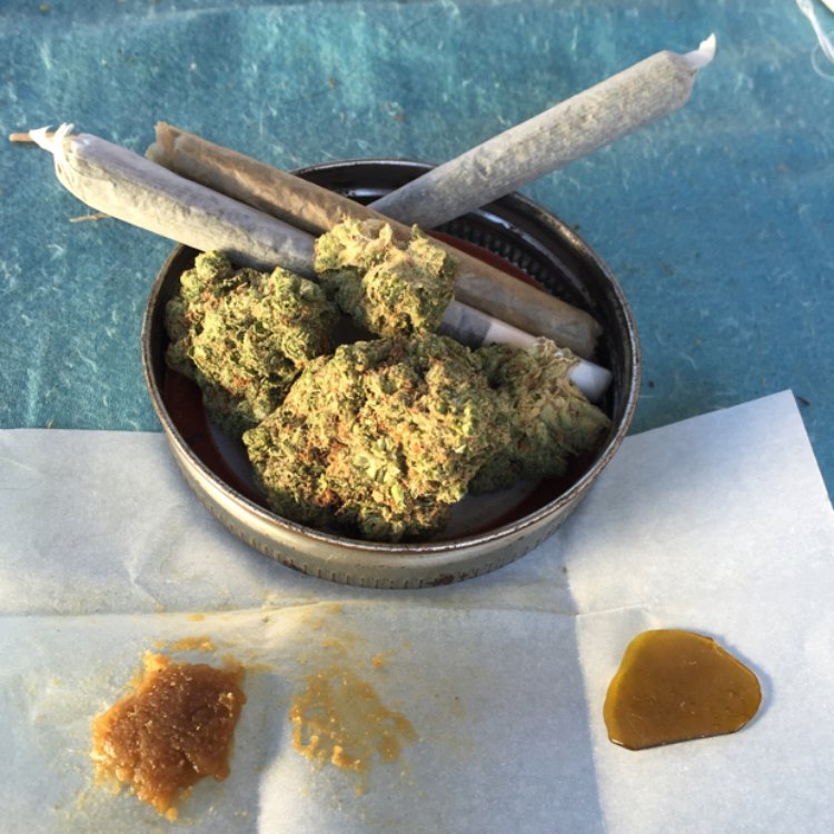 Place your order directly from our website and have it ship the same day . Visit saintmaryhouse.com