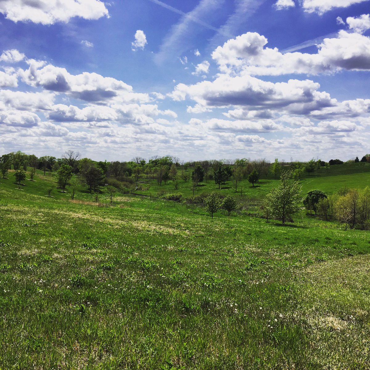 Just another day on the job. #iowa #trees #spring