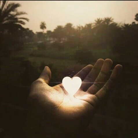 alnawras00's tweet photo. وأركض خلف طيف

بسحر شذاك

فتنأى

ويسخر مني العناق

ويوقظ شعاع الشمس حلمي

هنيئا لمستغرق ما أفاق ..!!

#نمير_البيان https://t.co/KHkv2VlCeu
