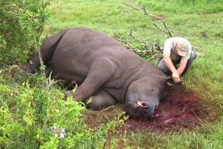 PROTECT ALL WILDLIFE tweet media
