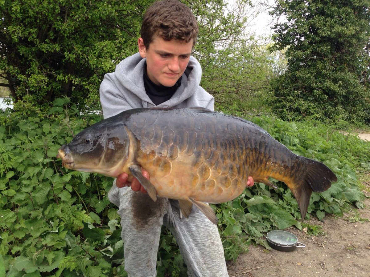 teddy_nelson1's tweet image. This stunner from brooklands 22lb 8oz @BTSangling