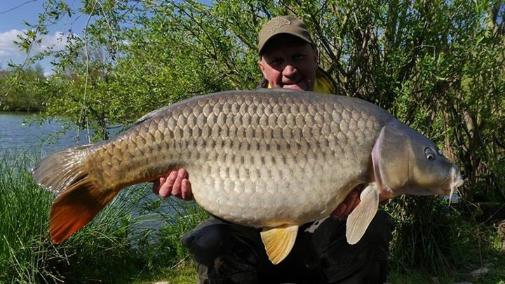carpedorfishing's tweet photo. Theres no stopping today!!!
ian russell 
banking three forties today
commons 40lb8oz &amp; 43lb
mirror 44lb8oz https://t.co/Jjop11xfLV