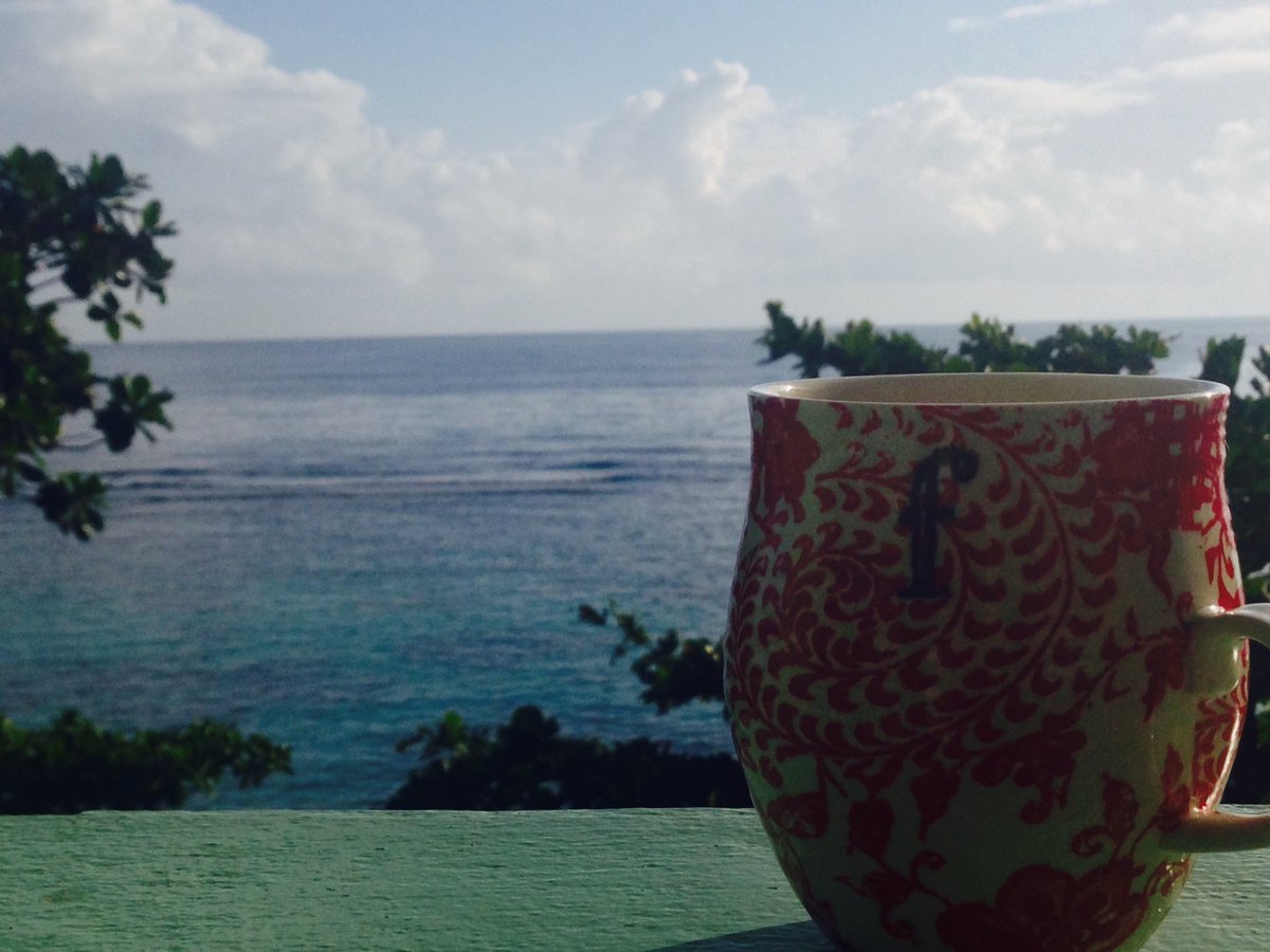 wha gwan@jackgoesforth big up mi home town Ochi fi mi!  @robenfarzad #letsgo