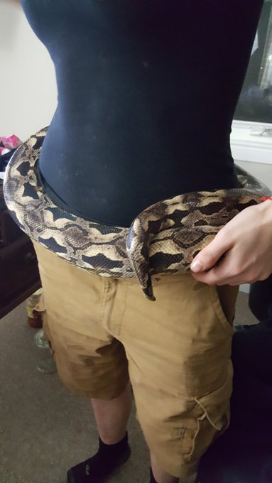 HES A BELT @Arwen_Datnoid https://t.co/F6VjrlsDMk<a class="tags" href="/tag/arwen_datnoid">@arwen_datnoid</a><a href="/tag/mvdoubletrouble"class="tags"><span>#mvdoubletrouble</span></a>