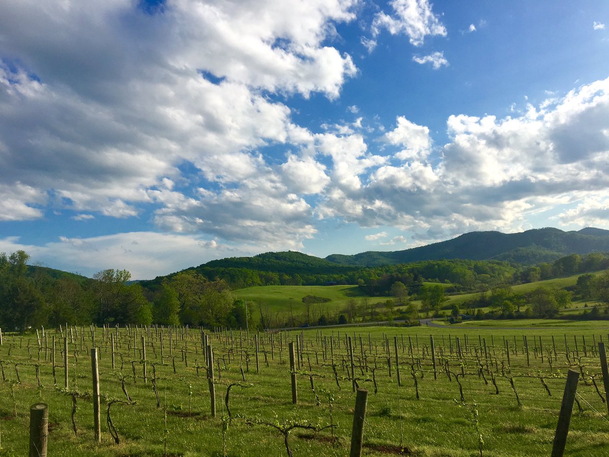 TheScoutGuideD's tweet image. Beyond excited to be back where it all began in beautiful Charlottesville for #TSGElevate2016!