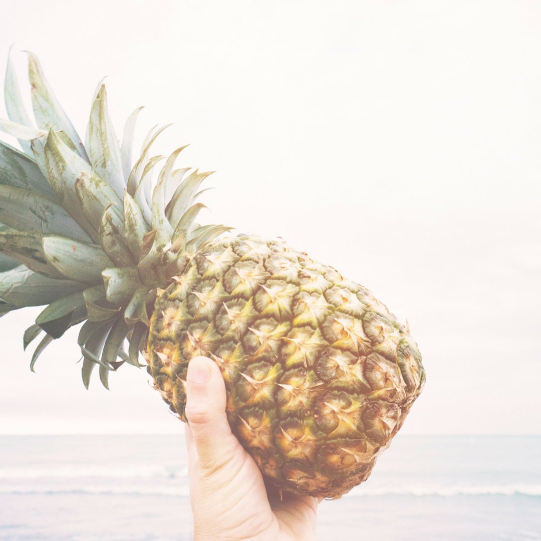 hussetHR's tweet photo. #HappyHumpDay - Have a #break and eat some #fruit to get you through this #Humpday! #workplaceculture #happy #fun https://t.co/AUWiMlk4Is