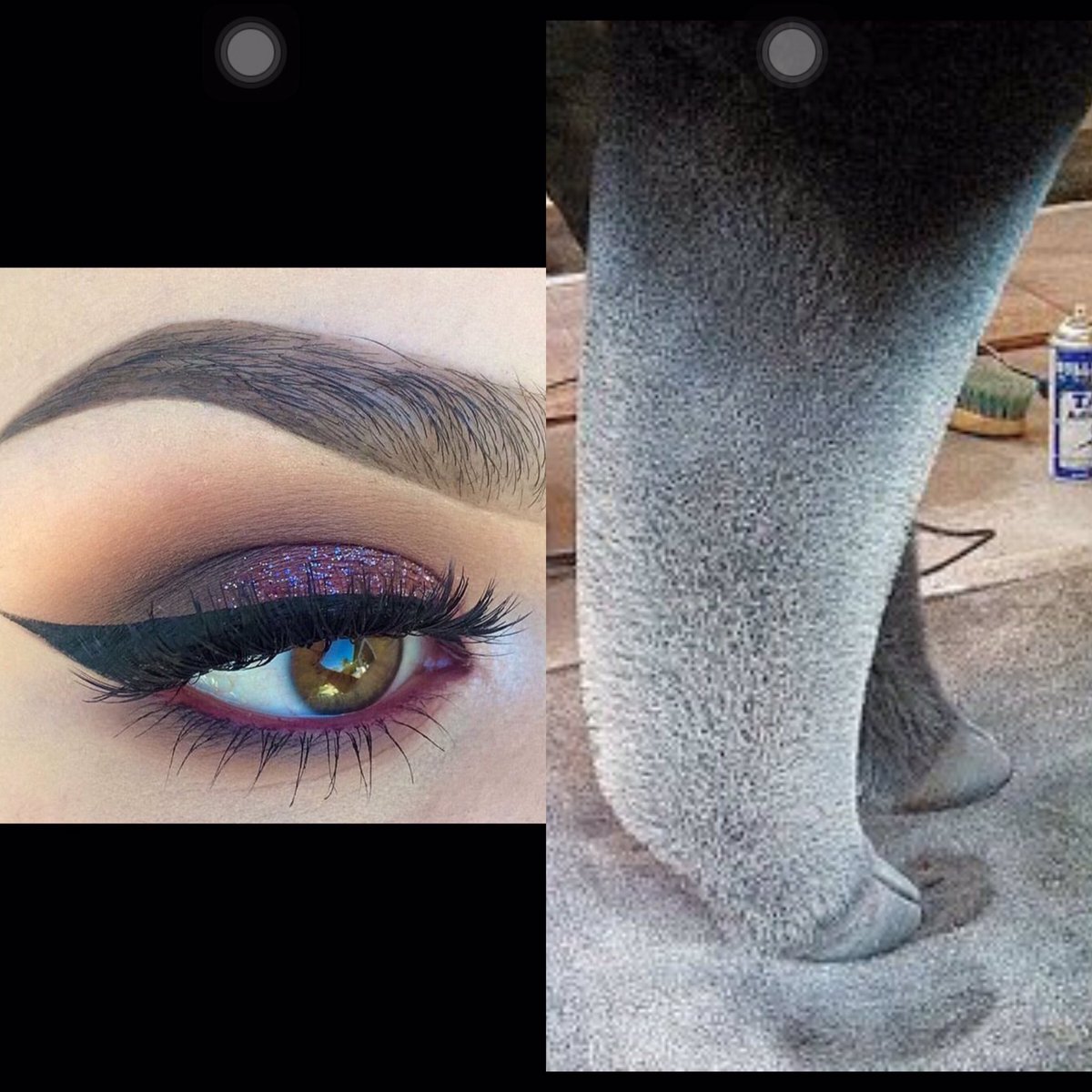 StockShowFlow's tweet image. &quot;What is art?&quot;- Most girls vs. me