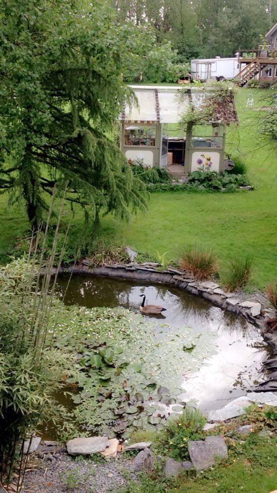 Beautiful place to work #OfficeLife #Goose #nature