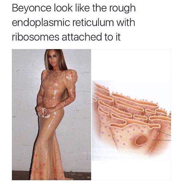 Spandogee's tweet image. 👌