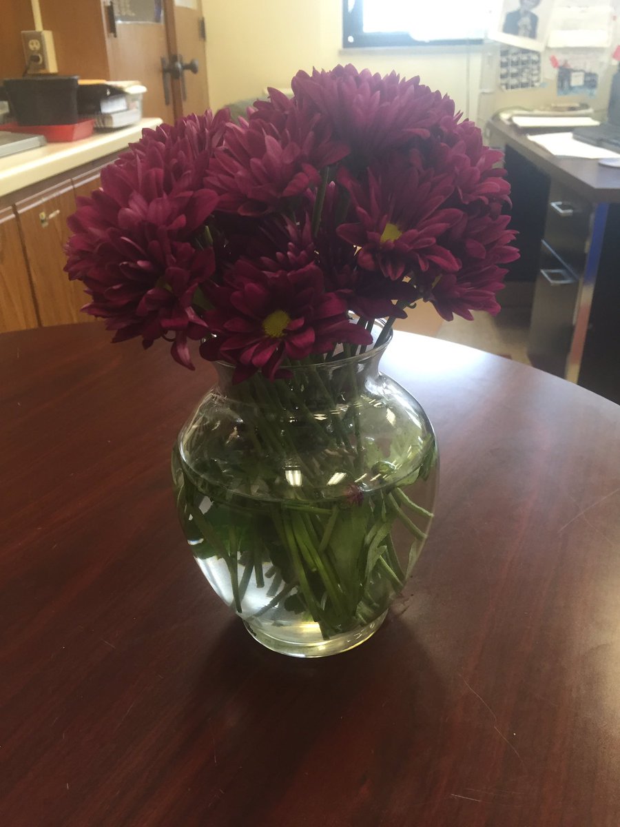 Educate2Elevate's tweet photo. Happy #TeacherAppreciationDay https://t.co/bM2MOzO6S2