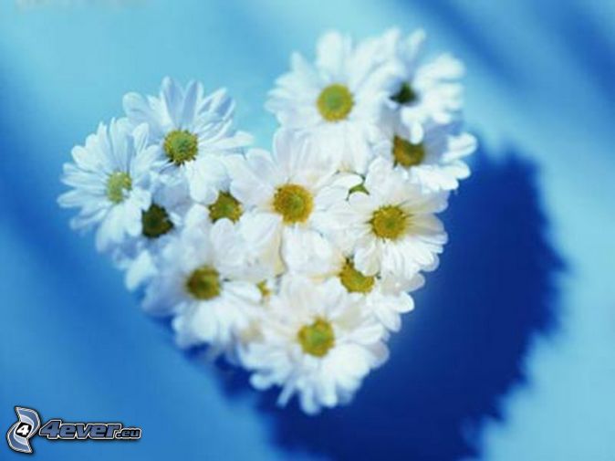 <a href="/nakayixin/">しんちゃん</a> <a href="/sdzshah/">Shah_sdz</a> @NadiaNeluh2002 @zeynp1959 @CristinPereyra @IamJenniferPT <a href="/ldscommandments/">Irma</a>