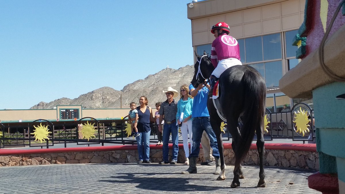 SunlandDerby's tweet photo. Adhara ~ 3yo KY-bred daughter of Cowboy Cal ~ wins @elpasotimes Stakes for Steve Asmussen under Alfredo Juarez Jr https://t.co/DmvL9XEV97