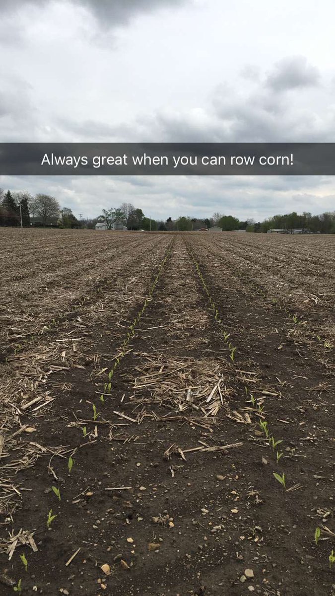 HHgoodman17's tweet photo. 209-53 up! @Channel_OH #plant16 https://t.co/L6HuIJSvgH
