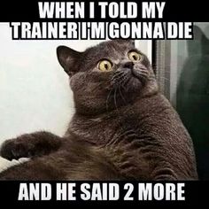 Some #training humor to get you through the rest of the day.  Enjoy! #PrideGlowRunIsFun