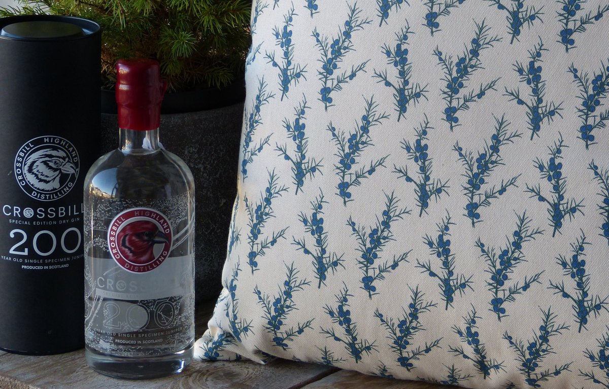 JuniperandJane's tweet photo. RT To vote @CrossbillGin for #HotCraftSpirits Crafted in the Highlands from Scottish Juniper 
#MadeinScotland https://t.co/Tgac1fnwo2