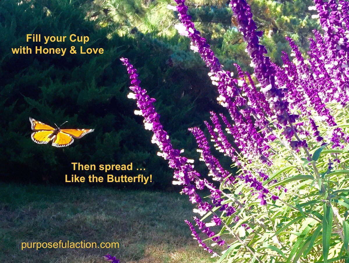 purposefulact's tweet photo. Dear 💓Sweet💓#Friiends💓@KariJoys @roamingpiscean💓Make Today #Marvelous with our #JoyTrain ride @RockChristopher💓🙏😇 https://t.co/EiSrBFPsm1