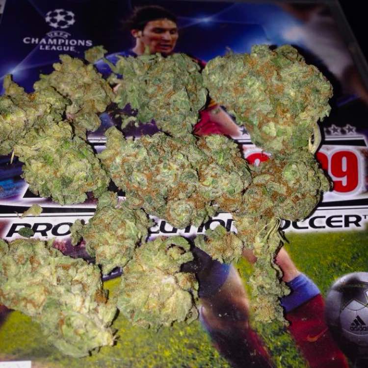 Place your order directly from our website and have it ship the same day . Visit saintmaryhouse.com