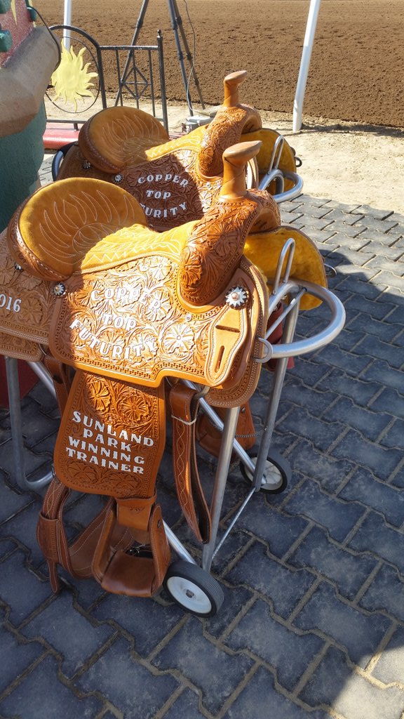 SunlandDerby's tweet photo. To the winner goes the spoils!
#CopperTopFuturity https://t.co/UaXoSOIw5C