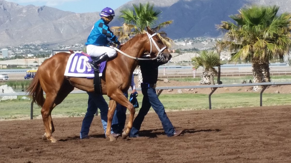 SunlandDerby's tweet photo. Ignored ~ a 2yo NM-bred son of The Way Home ~ wins the #CopperTopFuturity for Todd Fincher under Ruby Gonzalez https://t.co/adEA86UYJ3