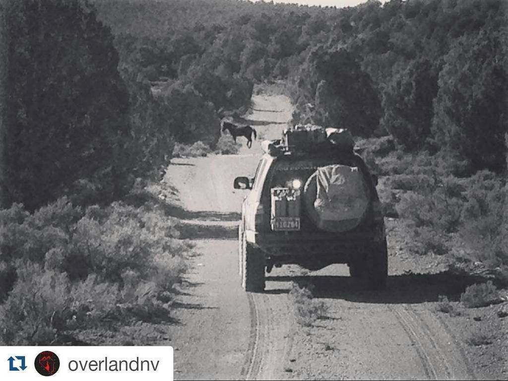 offroadtrail's tweet photo. Our buddies over at @overlandnv on the Pony Express. #findadventure #offroad #overland
#ov… https://t.co/XCgnLRej7A https://t.co/MDv5OMcFUJ