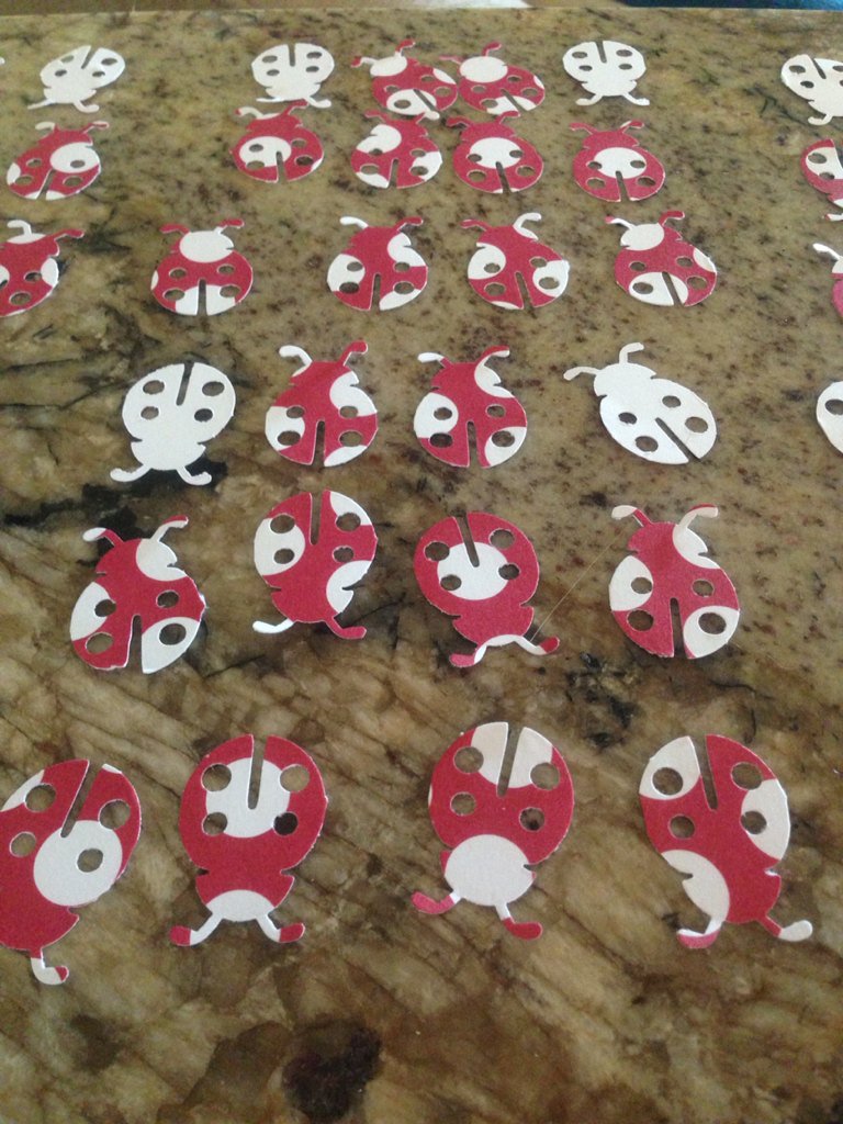 cbsmaby's tweet image. Convinced an army of #ladybirds could take over the world. Feeling a story in this! #bugsattack #bugarmy #amwriting