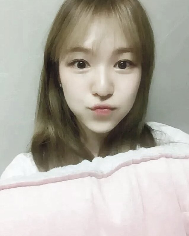 gfskpop's tweet photo. wendy || red velvet ♡ [requested] https://t.co/cWoTezodpw