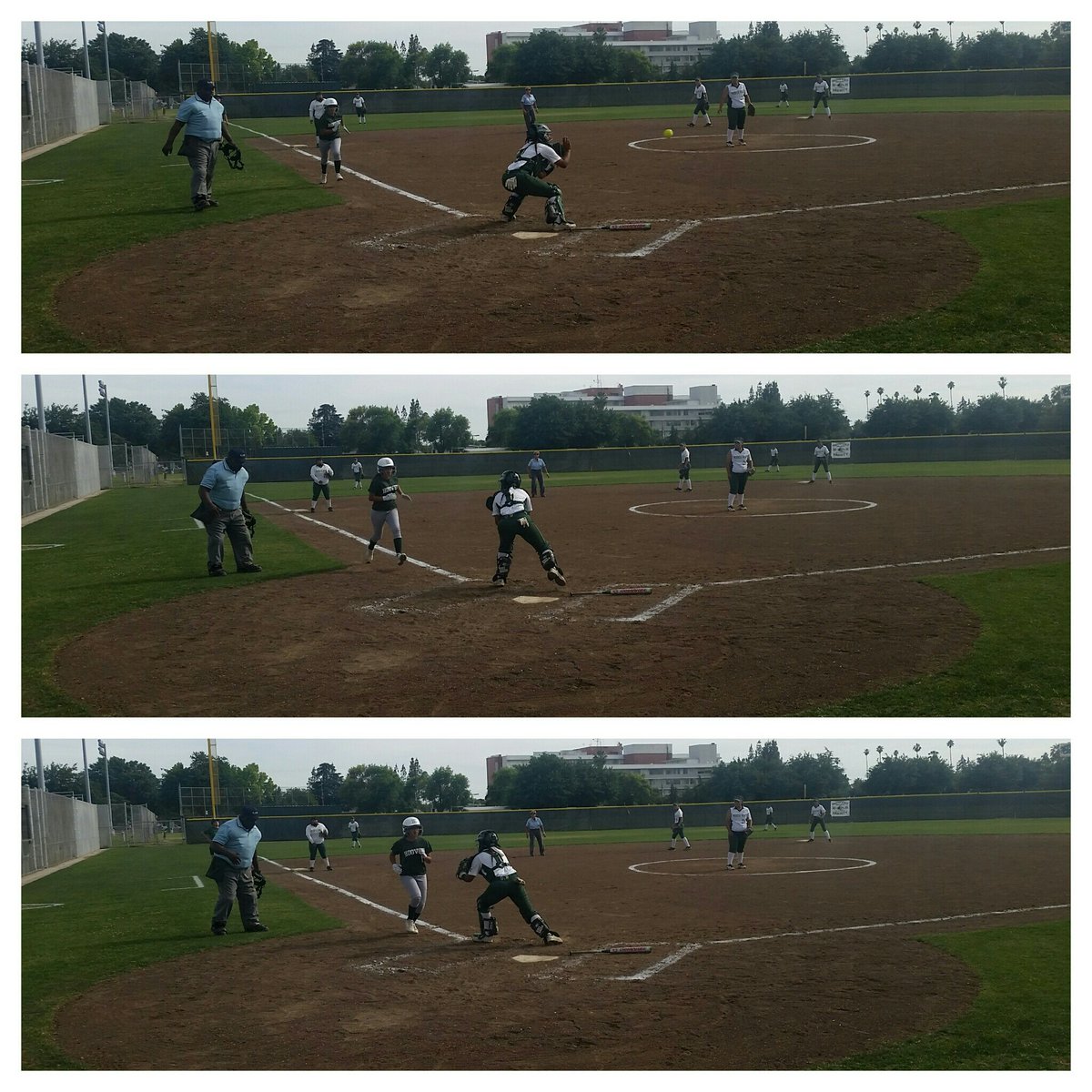 RHS Rough Riders tweet media