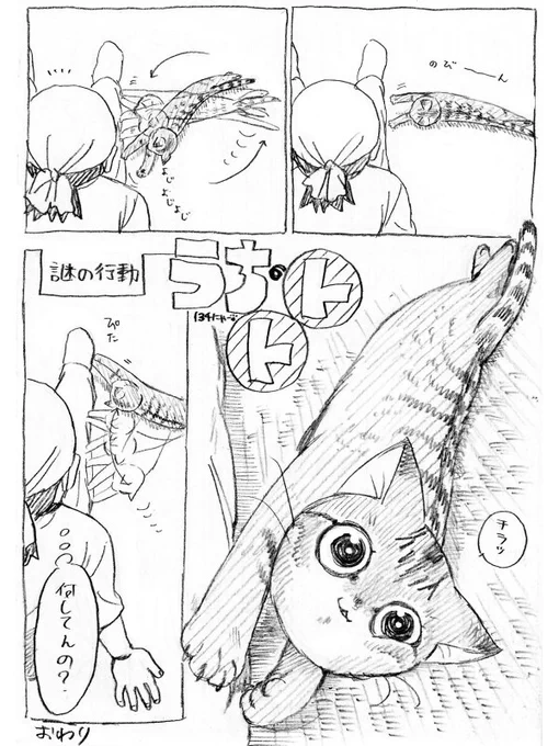 ねこまんが。第134話。『うんこうんこうんこうんこじゃーねーうんこうんこうんこまたねーっ』近所のがきんちょのやり取りに、何故だか心がすごく晴れ渡った。 