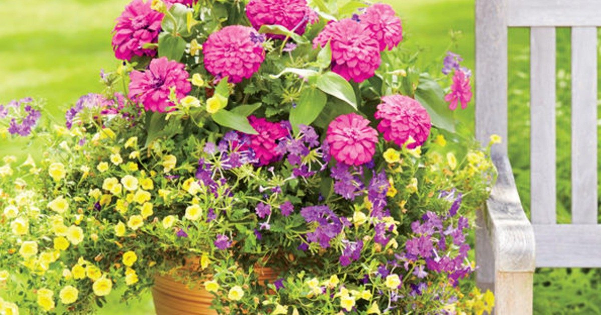 OsideBrian's tweet image. An in-ground garden isn't the only way to grow. 121 container garden ideas: otbd.it/y2UbJ4