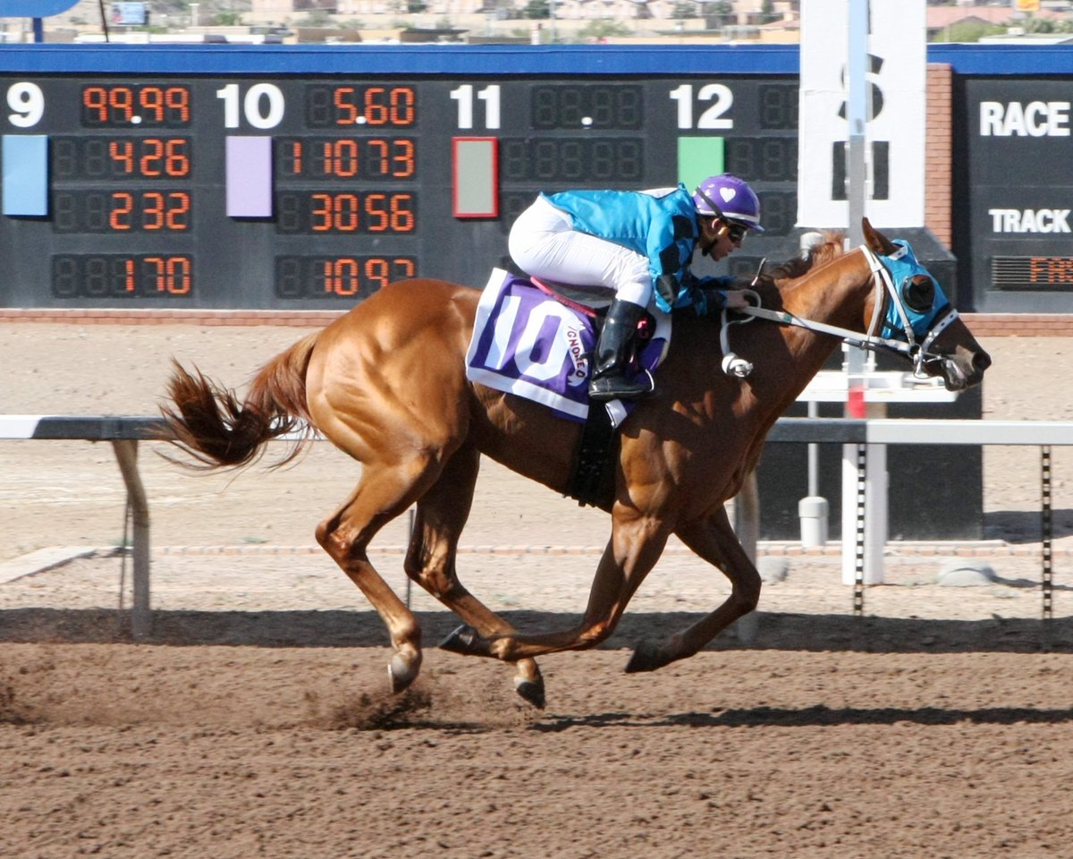 SunlandDerby's tweet photo. Ignored takes the #CopperTopFuturity
T: Todd W. Fincher
J: Ruby Gonzalez
O: Steve &amp; Bessie Prather
B: Steve Prather https://t.co/zTwd0WsLXY