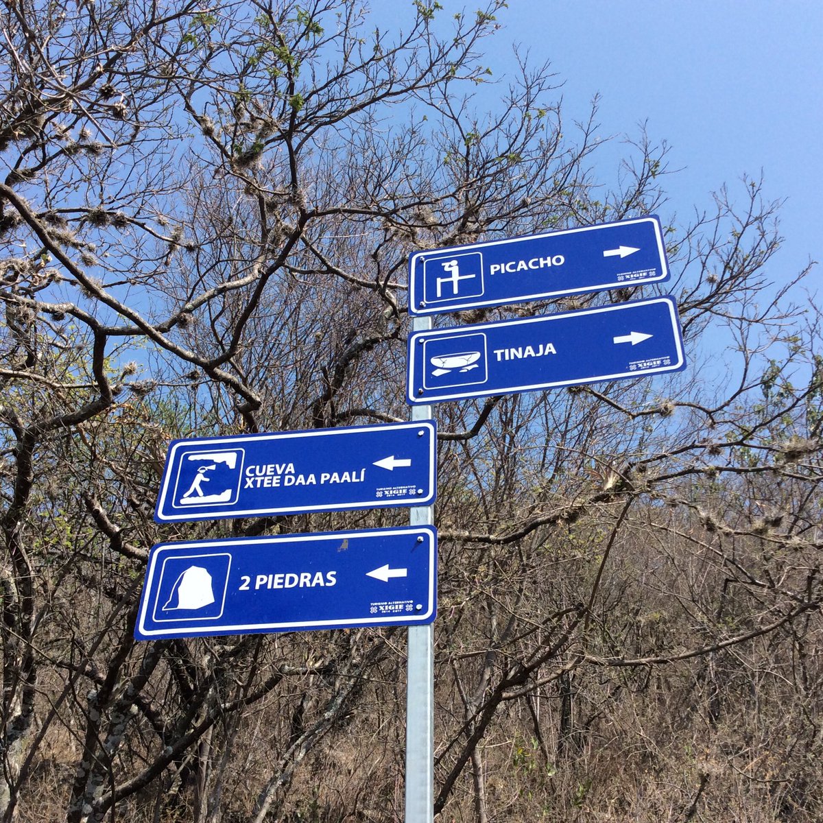 Teotitlán del Valle tweet media