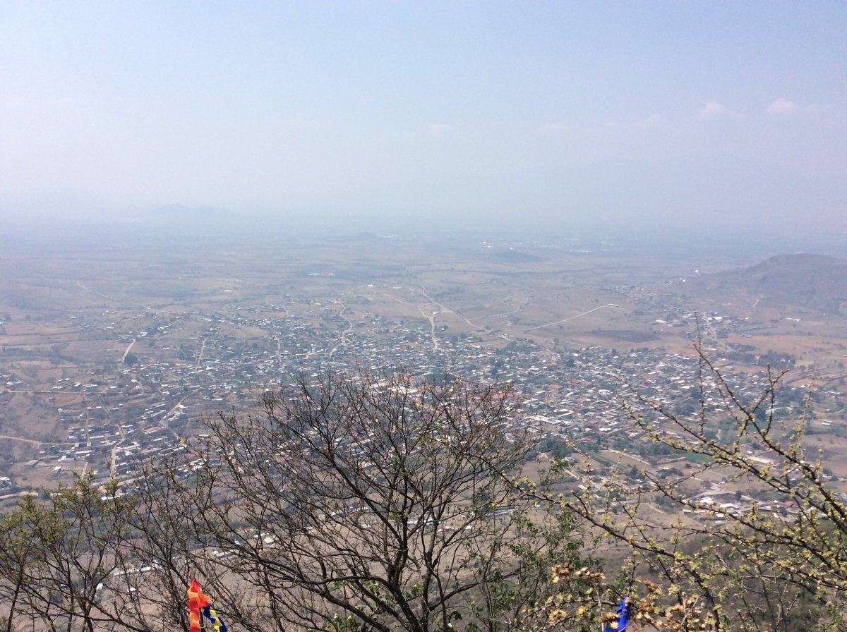 Teotitlán del Valle tweet media