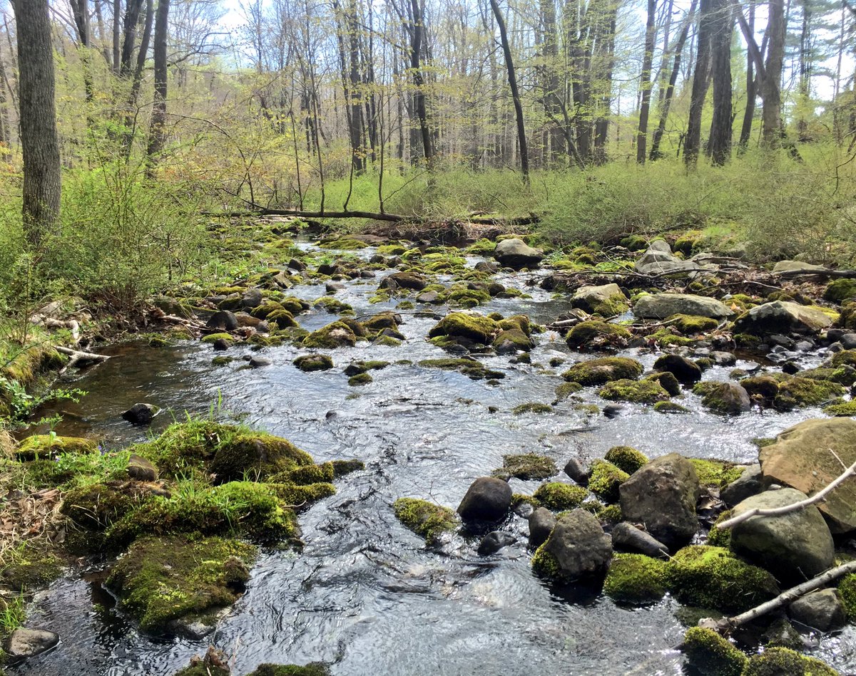 If you do what you love, you'll never work a day in your life.
#ECSNY #runchat #ultrachat