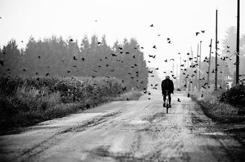 that way...
fagor.com.vn/vn/lo-nuong_10…