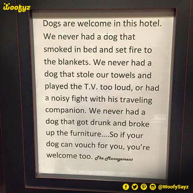 WoofySayz's tweet photo. Wish more hotels were like this! #Dogsallowed #doglovers #dogsoftwitter #Petsallowed #hotels #Hotelswithpets #Woofyz https://t.co/WgbQouW2cJ
