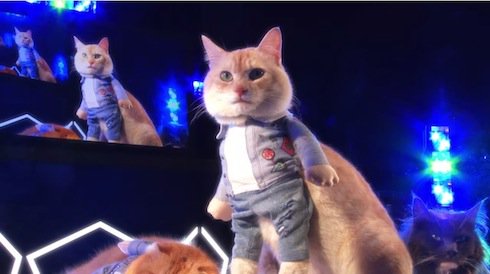 itm_nlab's tweet photo. にゃん

韓国アイドルグループ・SHINeeのネコ版「SHINyan（シャイニャン）」による、「猫ホイホイMV」が公開 - ねとらぼ https://t.co/uva5JveH1V @itm_nlabから https://t.co/ZofOnrmXuQ