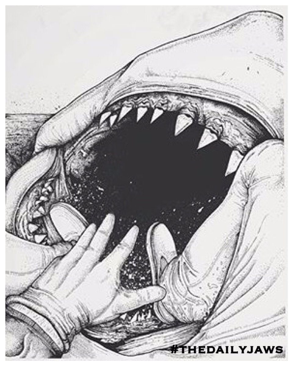 Movie Jaws Drawing