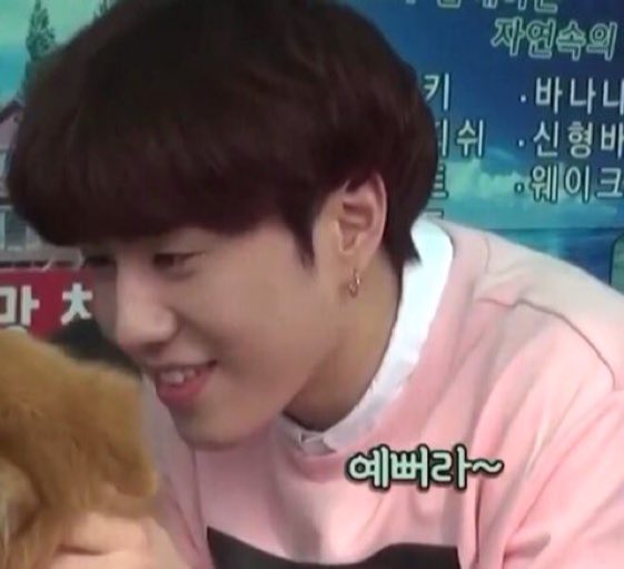 youngjae: does anyone have a picture of a dog
jaebum: yeah, you'll need to crop it though