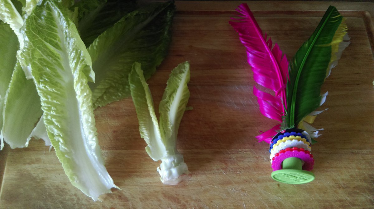 Fans of the <a href="/ukickinfo/">UKick</a> have this for free. Here's a cheap alternative to their skills toy #theversatilityoflettuce