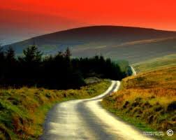 True happiness is not following the beaten track, but finding the true path for ourselves &amp; fearlessly following it.