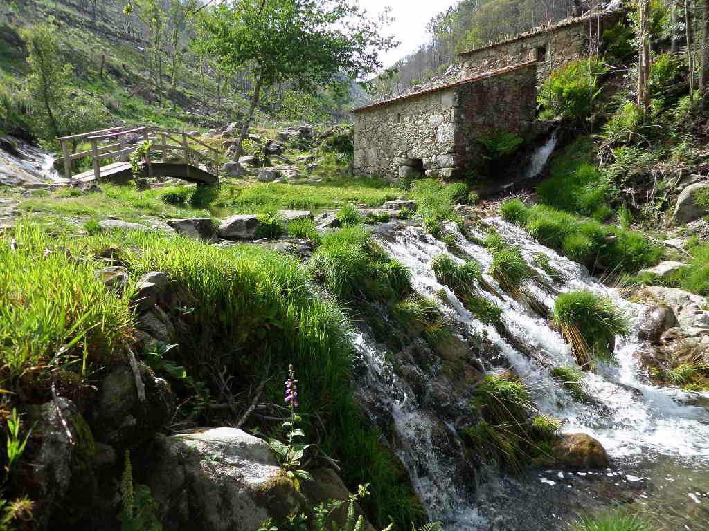 CruzMjvo's tweet photo. Muiños do Folon e Picon-O Rosal#Pontevedra @GaliciaMaxica @ilovegalicia @galiciamundo @Galicia_Mola @GaliciaNatural https://t.co/0hoA7LW1qW