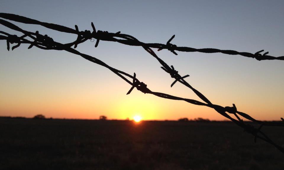 Ronanyuan's tweet photo. Barbed wire is a kind of modern security fencing with better protection #security #fencing https://t.co/tJplD3DALb https://t.co/peq5j2J3Ki