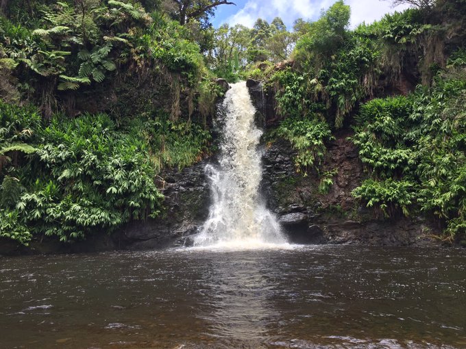 I rode a horse to this waterfall in Hawaii today 🌴🌊☀️  #lifeisgood https://t.co/z8r3hA8trG<a href="/tag/lifeisgood"class="tags"><span>#lifeisgood</span></a>