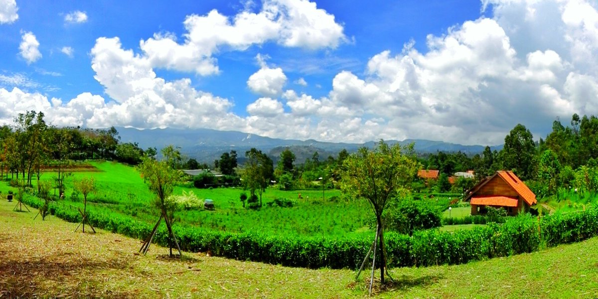 ucepsandi's tweet photo. Indah nya Kebun Mawar di Garut #mytripmyadventure #amazingtasikmalaya #nicepic #thebestplace https://t.co/s9mq8Pybyr