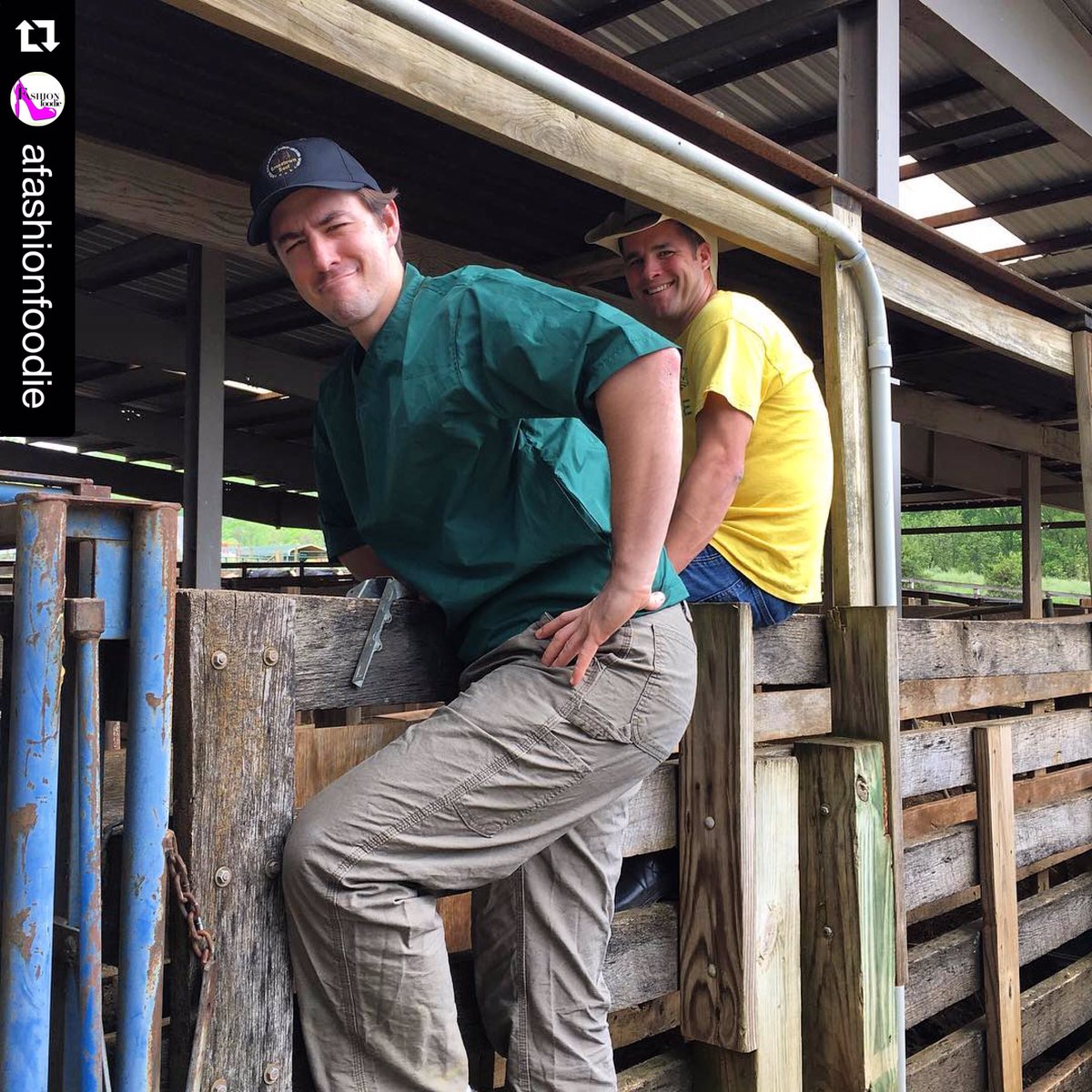 BrasstownBeef's tweet photo. Love having chefs on the farm! Great to see our friends from @LonesomeValley Canyon Kitchen @Chef_Hayes @edistomarsh https://t.co/qxXpyXGf88